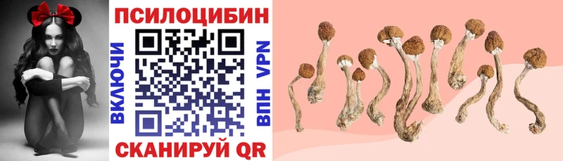 купить наркотик  Горбатов  Псилоцибиновые грибы Cubensis 