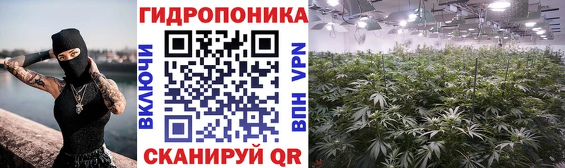 Канабис планчик  Горбатов 